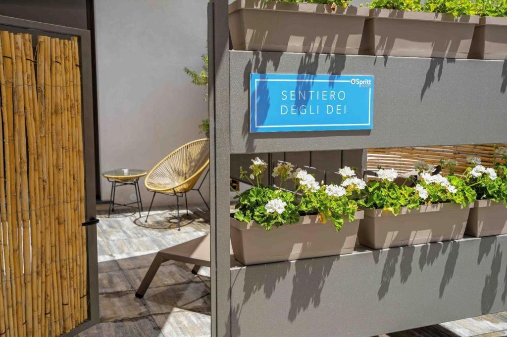 Apartament Ospritthouse Agerola Zewnętrze zdjęcie